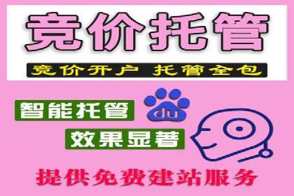 信息流广告投放策略实战：案例分析与优化